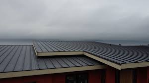 Best Rubber Roofing (EPDM, TPO)  in Vermilion, OH